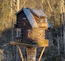 Fuglehus thumbnail